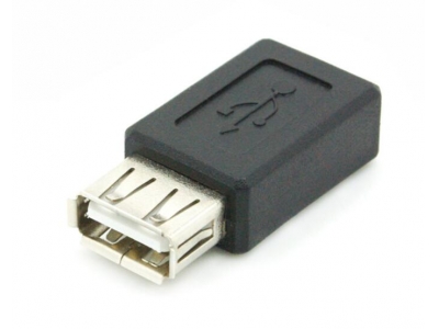 Usb AF To Mini 5P Adapter