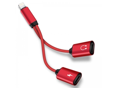 Lightning to 2 USB AF Y cable