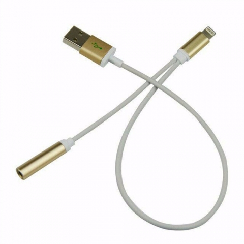Lightning to  USB AM and 3.5mm earphone cable