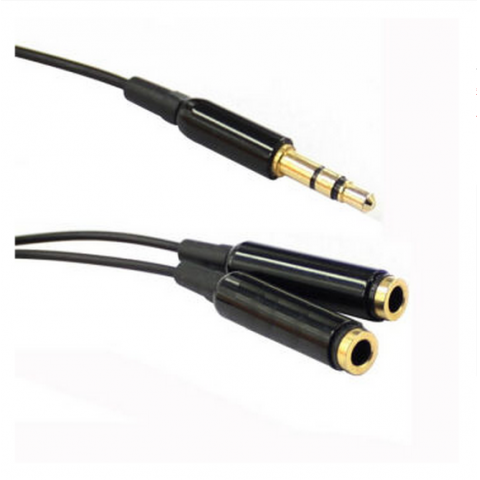 3.5mm male to 2RCA female cable